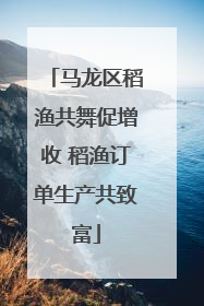 马龙区稻渔共舞促增收 稻渔订单生产共致富
