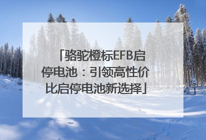 骆驼橙标EFB启停电池：引领高性价比启停电池新选择