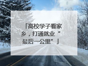 高校学子看家乡，打通就业“最后一公里”
