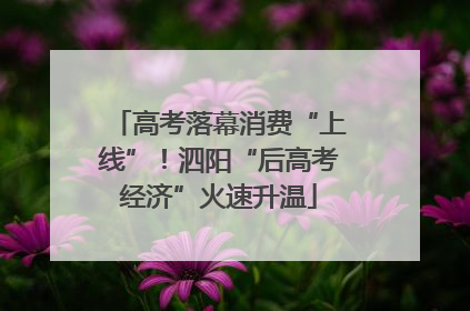 高考落幕消费“上线”！泗阳“后高考经济”火速升温