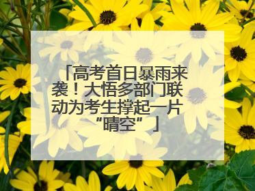 高考首日暴雨来袭！大悟多部门联动为考生撑起一片“晴空”