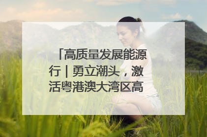 高质量发展能源行｜勇立潮头，激活粤港澳大湾区高质量发展动力源