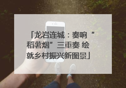 龙岩连城：奏响“稻薯烟”三重奏 绘就乡村振兴新图景