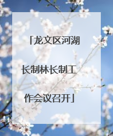 龙文区河湖长制林长制工作会议召开