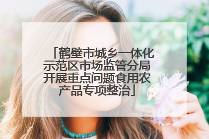 鹤壁市城乡一体化示范区市场监管分局开展重点问题食用农产品专项整治