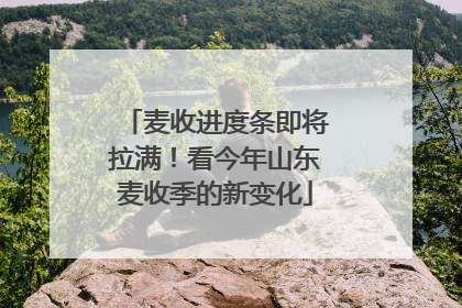 麦收进度条即将拉满！看今年山东麦收季的新变化