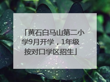黄石白马山第二小学9月开学，1年级按对口学区招生