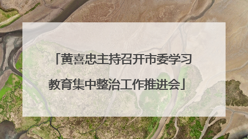 黄喜忠主持召开市委学习教育集中整治工作推进会