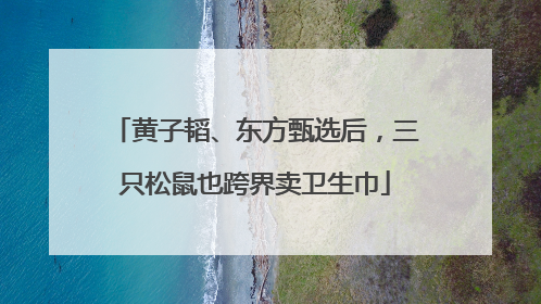 黄子韬、东方甄选后，三只松鼠也跨界卖卫生巾
