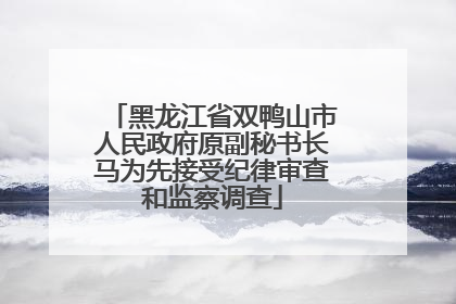 黑龙江省双鸭山市人民政府原副秘书长马为先接受纪律审查和监察调查