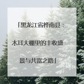 黑龙江省桦南县：木耳大棚里的丰收盛景与共富之路