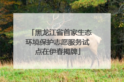 黑龙江省首家生态环境保护志愿服务试点在伊春揭牌