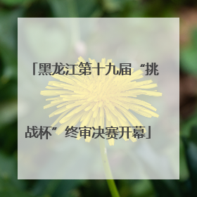 黑龙江第十九届“挑战杯”终审决赛开幕