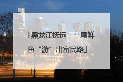 黑龙江抚远：一尾鲜鱼“游”出富民路