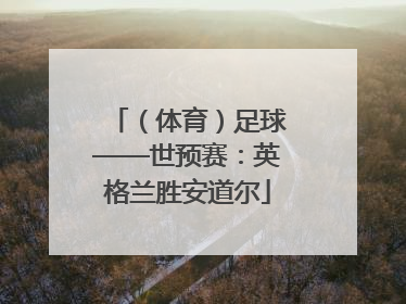 （体育）足球——世预赛：英格兰胜安道尔