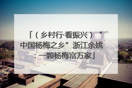 （乡村行·看振兴）“中国杨梅之乡”浙江余姚：一颗杨梅富万家