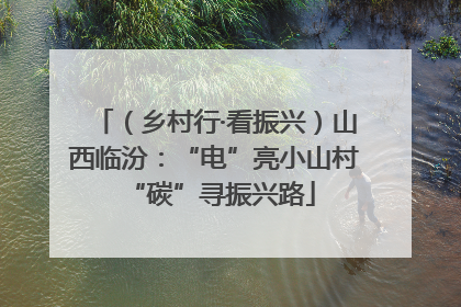 （乡村行·看振兴）山西临汾：“电”亮小山村 “碳”寻振兴路