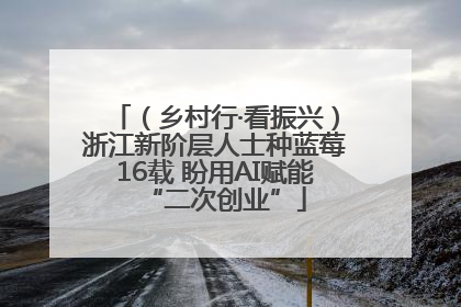 （乡村行·看振兴）浙江新阶层人士种蓝莓16载 盼用AI赋能“二次创业”