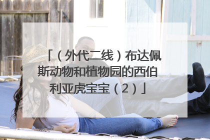 （外代二线）布达佩斯动物和植物园的西伯利亚虎宝宝（2）