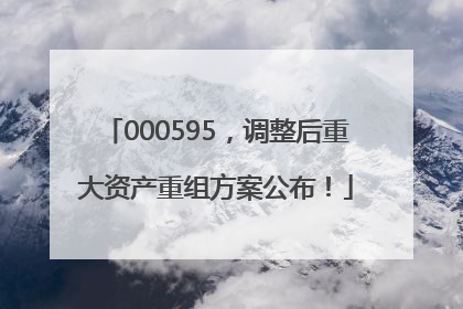 000595，调整后重大资产重组方案公布！