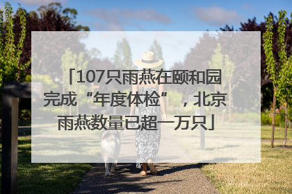 107只雨燕在颐和园完成“年度体检”，北京雨燕数量已超一万只