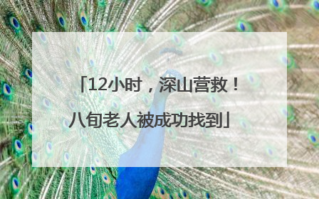 12小时，深山营救！八旬老人被成功找到
