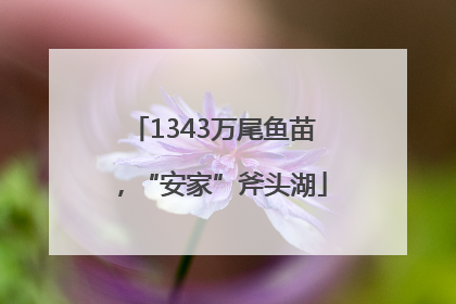 1343万尾鱼苗，“安家”斧头湖