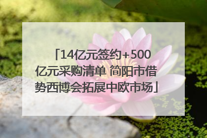 14亿元签约+500亿元采购清单 简阳市借势西博会拓展中欧市场