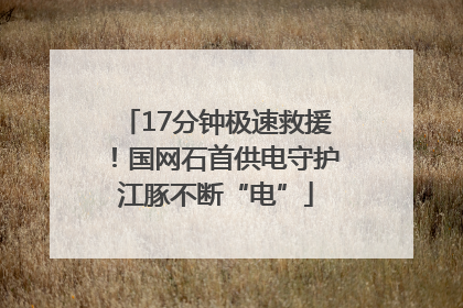 17分钟极速救援！国网石首供电守护江豚不断“电”