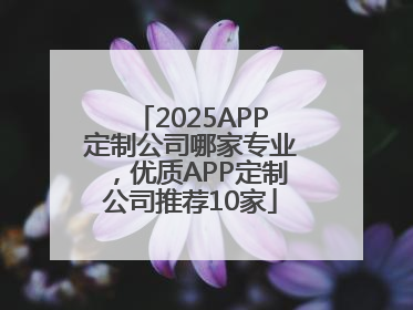 2025APP定制公司哪家专业，优质APP定制公司推荐10家
