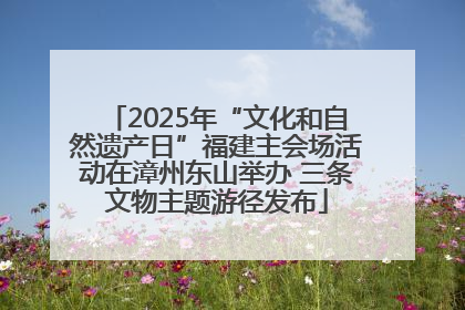 2025年“文化和自然遗产日”福建主会场活动在漳州东山举办 三条文物主题游径发布