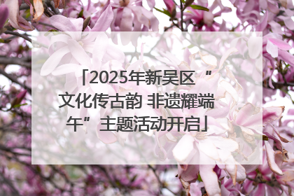 2025年新吴区“文化传古韵 非遗耀端午”主题活动开启