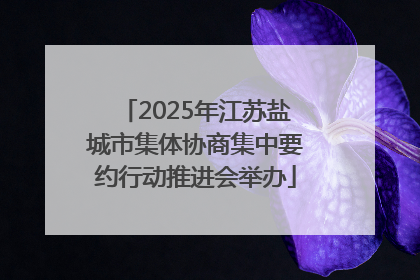 2025年江苏盐城市集体协商集中要约行动推进会举办
