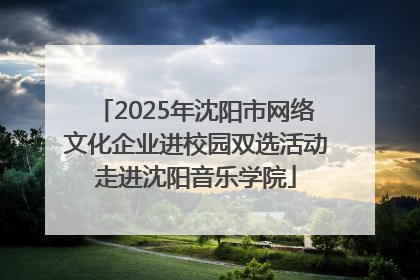 2025年沈阳市网络文化企业进校园双选活动走进沈阳音乐学院