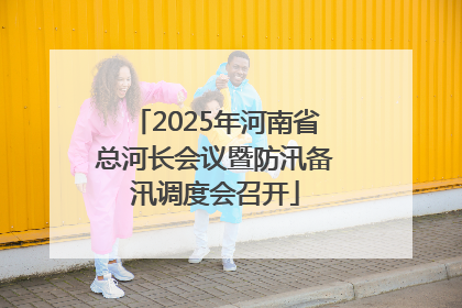 2025年河南省总河长会议暨防汛备汛调度会召开