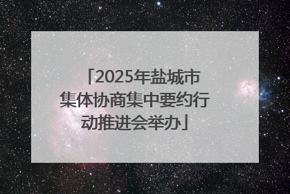 2025年盐城市集体协商集中要约行动推进会举办