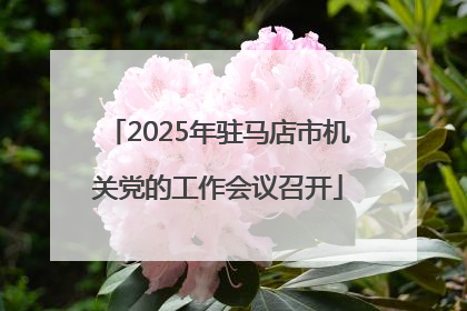 2025年驻马店市机关党的工作会议召开