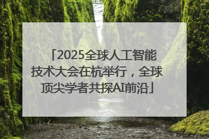 2025全球人工智能技术大会在杭举行，全球顶尖学者共探AI前沿