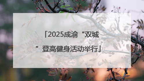 2025成渝“双城”登高健身活动举行