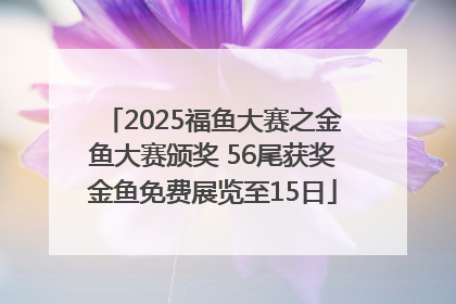 2025福鱼大赛之金鱼大赛颁奖 56尾获奖金鱼免费展览至15日