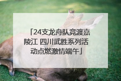 24支龙舟队竞渡嘉陵江 四川武胜系列活动点燃激情端午