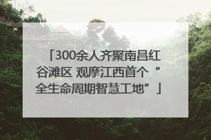 300余人齐聚南昌红谷滩区 观摩江西首个“全生命周期智慧工地”