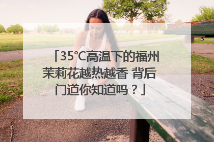 35℃高温下的福州茉莉花越热越香 背后门道你知道吗？