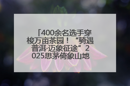 400余名选手穿梭万亩茶园！“骑遇普洱·迈象征途”2025思茅倚象山地自行车赛圆满举行