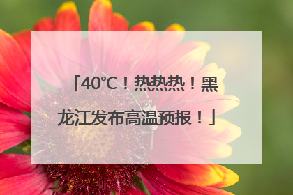 40℃！热热热！黑龙江发布高温预报！