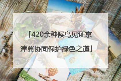 420余种候鸟见证京津冀协同保护绿色之道