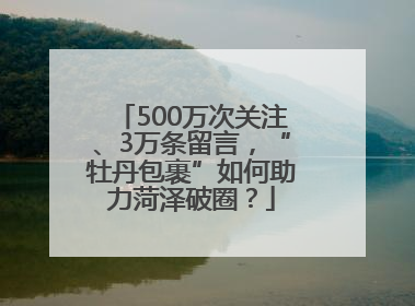 500万次关注、3万条留言，“牡丹包裹”如何助力菏泽破圈？