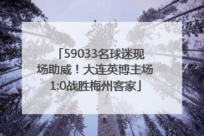 59033名球迷现场助威！大连英博主场1:0战胜梅州客家