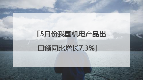5月份我国机电产品出口额同比增长7.3%