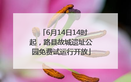6月14日14时起，路县故城遗址公园免费试运行开放